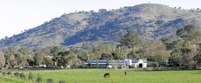 Blue Gum Farm - ACT Tourism 1