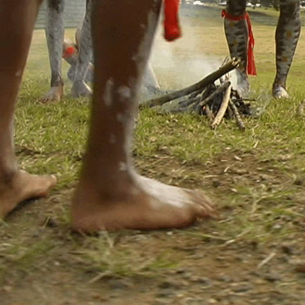 Musgrave Park Cultural Centre - ACT Tourism 1