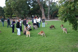 Caversham Wildlife Park - ACT Tourism 2