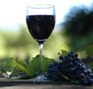 Lion Mill Vineyards - ACT Tourism