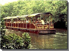 Daintree Rainforest River Trains - ACT Tourism 0