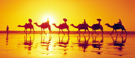 Banksia Adventures - ACT Tourism 1