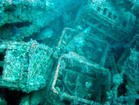Underwater Sports Diving Centre - ACT Tourism 0