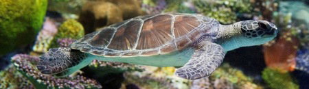 Melbourne Aquarium - ACT Tourism 1