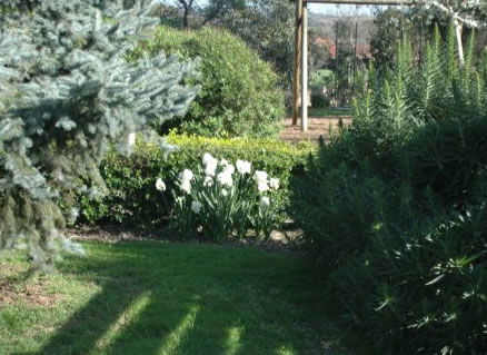 The Old Cheese Factory - ACT Tourism 2