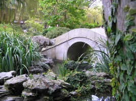 Chinese Garden Of Friendship - ACT Tourism 1