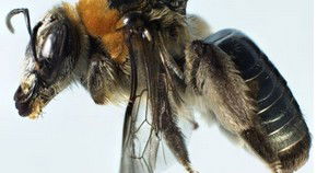 Perth Gpo WA ACT Tourism