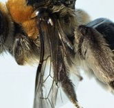 Western Australian Museum - ACT Tourism