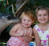 Dolphin Marine Magic - ACT Tourism