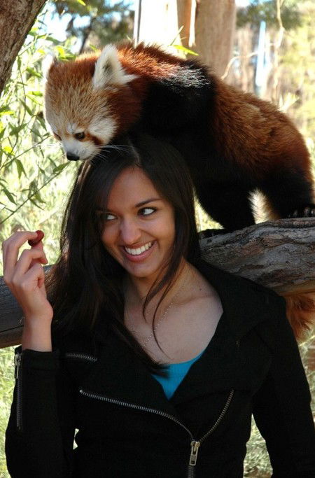 National Zoo & Aquarium - ACT Tourism 8