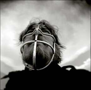 Australian Centre For Photography - ACT Tourism 3