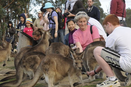 East Coast Natureworld - ACT Tourism 4