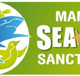 Manly SEA LIFE Sanctuary - ACT Tourism