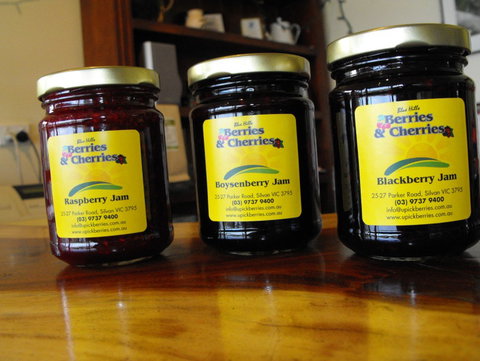 Blue Hills Berries & Cherries - ACT Tourism 1