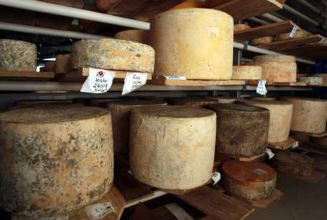 Witches Chase Cheese Co - ACT Tourism 3