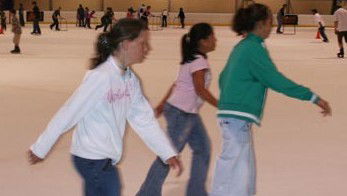 Hunter Ice Stadium - ACT Tourism 4