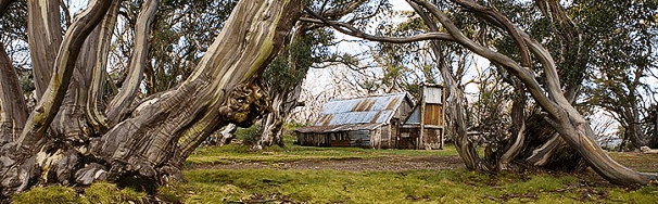 High Country Scenic Tours - ACT Tourism