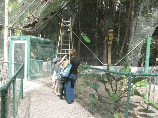 Bellingham Maze - ACT Tourism 7