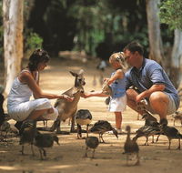 Billabong Sanctuary - ACT Tourism