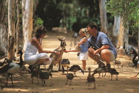 Billabong Sanctuary - ACT Tourism 0
