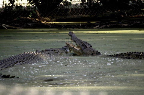 Billabong Sanctuary - ACT Tourism 3