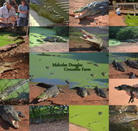 The Malcolm Douglas Crocodile Park - ACT Tourism