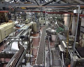 Cascade Brewery Tour - ACT Tourism 2