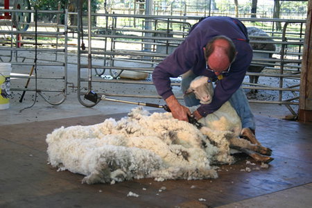 Caversham Wildlife Park - ACT Tourism 3