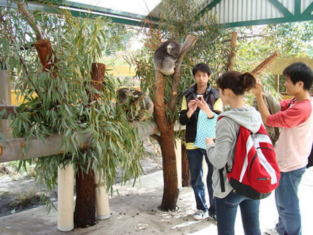 Caversham Wildlife Park - ACT Tourism 4