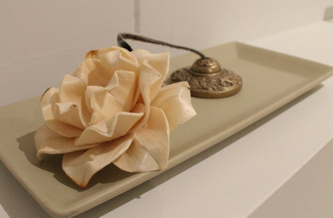 The Boardwalk Spa - ACT Tourism 5