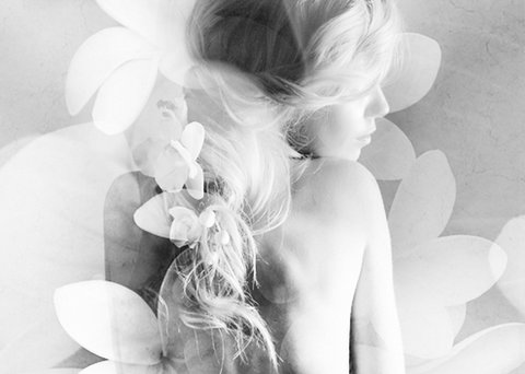 Elysium- A Place Of Beauty - ACT Tourism 1