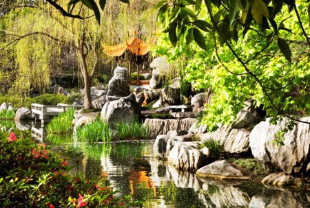 Chinese Garden Of Friendship - ACT Tourism 3