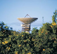 Big Dish - ACT Tourism