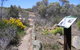 Christmas Rock Walk - thumb 0