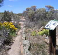 Christmas Rock Walk - ACT Tourism