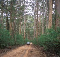 Boranup Drive - ACT Tourism