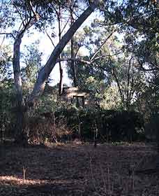 Ghost House Walk Trail, Yanchep National Park - ACT Tourism 0
