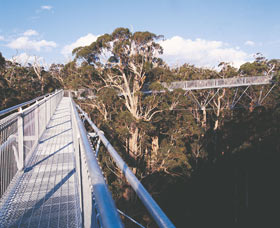 Walpole-Nornalup National Park - ACT Tourism 0