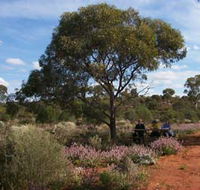 Karlkurla Bushland Park - ACT Tourism