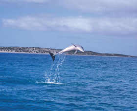 Steep Point - ACT Tourism 0