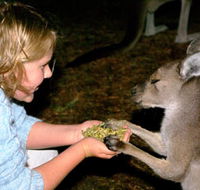 Discovery Bay's Walk on the Wild Side - ACT Tourism