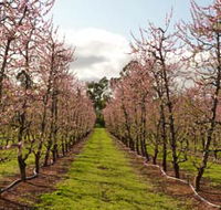 Raeburn Orchards - ACT Tourism