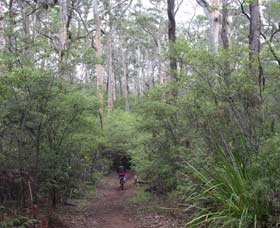  ACT Tourism