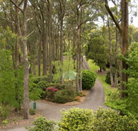 Mount Lofty Botanic Garden - ACT Tourism