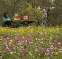 Gwambygine Park - ACT Tourism