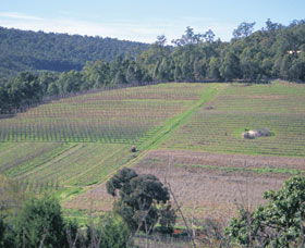 Darling Range - ACT Tourism 0