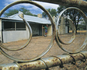 Youndegin - ACT Tourism 0