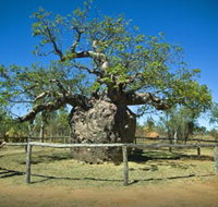 Pigeon Heritage Trail - ACT Tourism