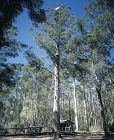 Perup WA ACT Tourism