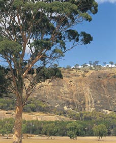 Mount Stirling - ACT Tourism 0